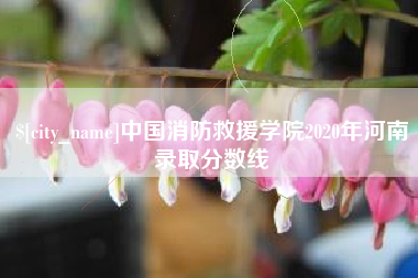 宣汉中国消防救援学院2020年河南录取分数线