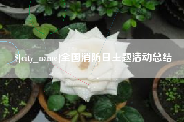 宣汉全国消防日主题活动总结