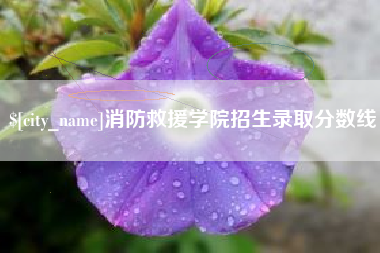 宣汉消防救援学院招生录取分数线