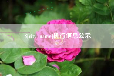 宣汉执行信息公示