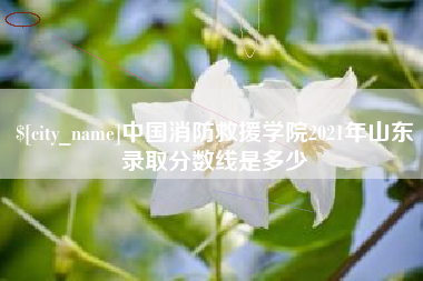 宣汉中国消防救援学院2021年山东录取分数线是多少