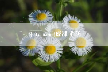 宣汉成都 消防