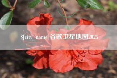宣汉谷歌卫星地图2025