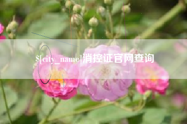 宣汉消控证官网查询