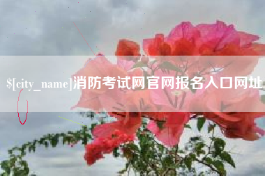 宣汉消防考试网官网报名入口网址
