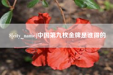 宣汉中国第九枚金牌是谁得的
