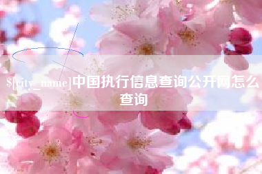 宣汉中国执行信息查询公开网怎么查询