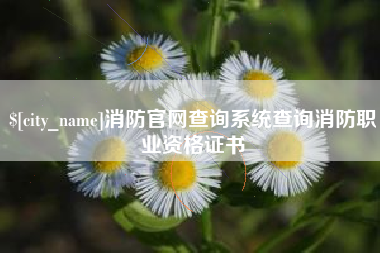 宣汉消防官网查询系统查询消防职业资格证书