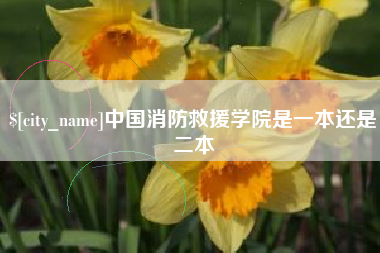 宣汉中国消防救援学院是一本还是二本