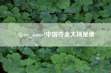 宣汉中国夺金大项是谁