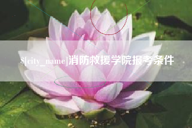 宣汉消防救援学院报考条件