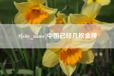 宣汉中国已经几枚金牌