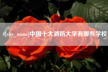 宣汉中国十大消防大学有哪些学校