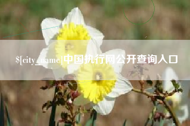 宣汉中国执行网公开查询入口