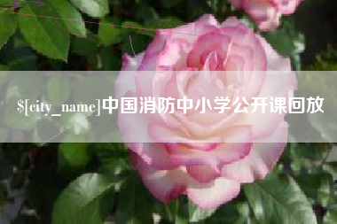 宣汉中国消防中小学公开课回放