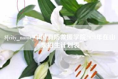 宣汉中国消防救援学院2020年在山东招生计划表