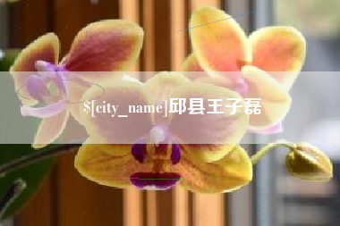宣汉邱县王子磊