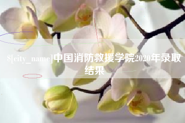宣汉中国消防救援学院2020年录取结果