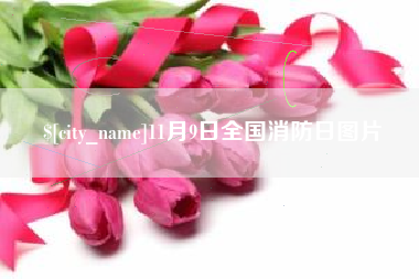宣汉11月9日全国消防日图片