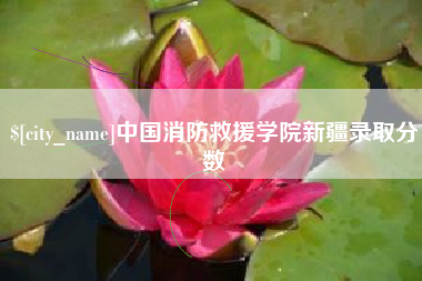 宣汉中国消防救援学院新疆录取分数