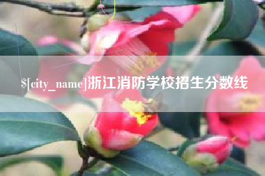宣汉浙江消防学校招生分数线