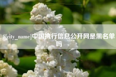 宣汉中国执行信息公开网是黑名单吗