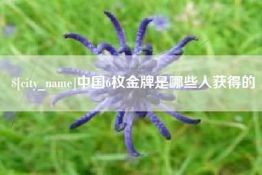 宣汉中国6枚金牌是哪些人获得的