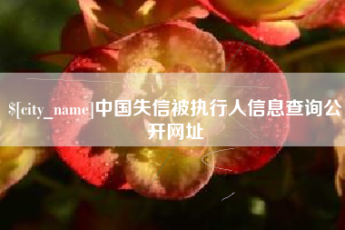 宣汉中国失信被执行人信息查询公开网址