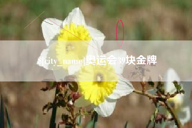 宣汉奥运会39块金牌