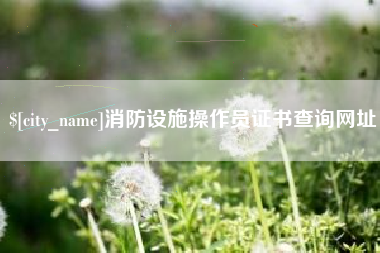 宣汉消防设施操作员证书查询网址