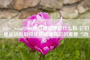 宣汉5000米世界冠军穿什么鞋-它们是运动员取得优异成绩背后的重要“功臣”