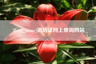宣汉消防证网上查询网站