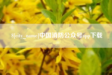 宣汉中国消防公众号app下载
