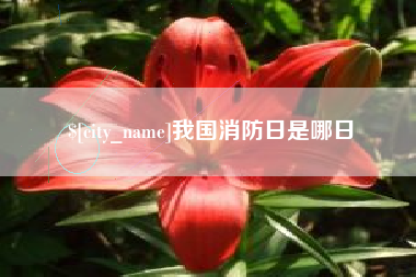 宣汉我国消防日是哪日