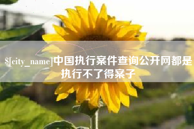 宣汉中国执行案件查询公开网都是执行不了得案子