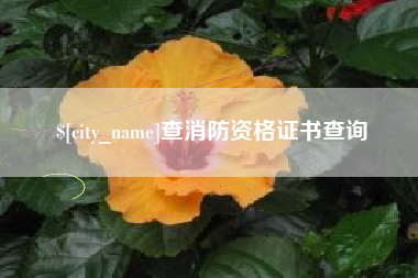 宣汉查消防资格证书查询