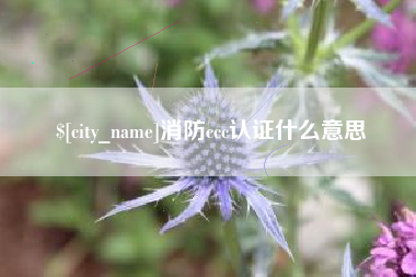 宣汉消防ccc认证什么意思
