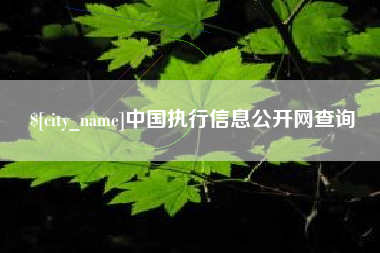 宣汉中国执行信息公开网查询