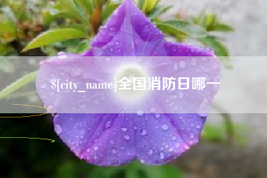宣汉全国消防日哪一