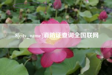 宣汉消防证查询全国联网