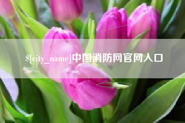 宣汉中国消防网官网入口