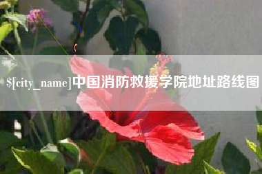 宣汉中国消防救援学院地址路线图