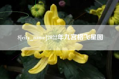 宣汉2022年九宫格飞星图