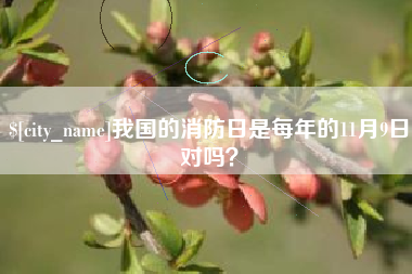 宣汉我国的消防日是每年的11月9日对吗？