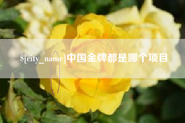 宣汉中国金牌都是哪个项目