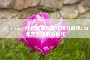 宣汉中国消防救援学院分数线2023年河北录取分数线