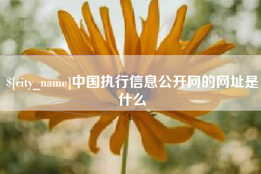 宣汉中国执行信息公开网的网址是什么