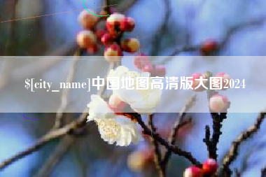 宣汉中国地图高清版大图2024