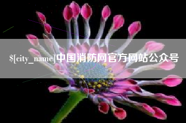 宣汉中国消防网官方网站公众号