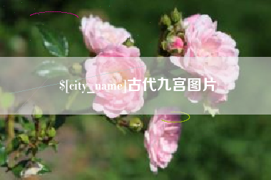 宣汉古代九宫图片